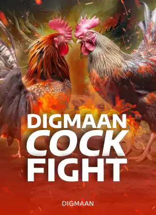 Cock fight